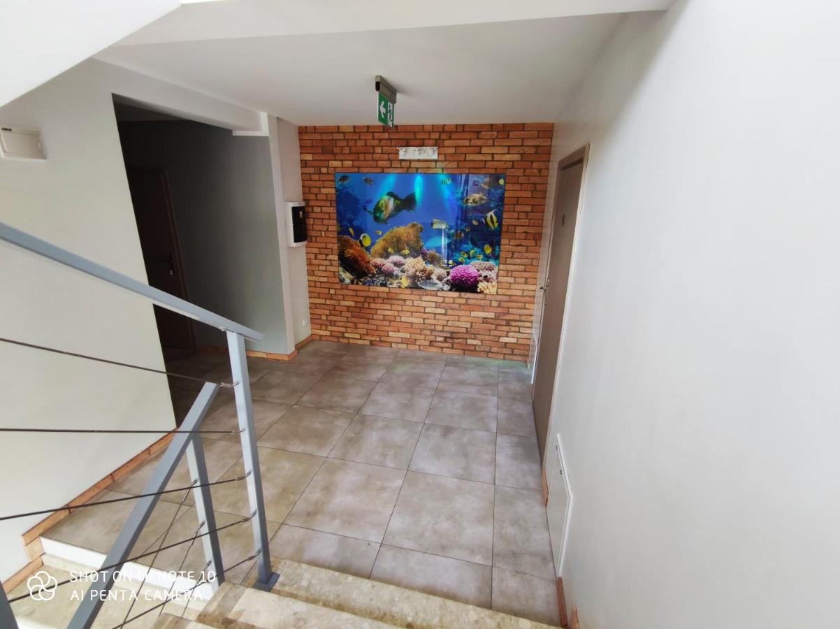 Pokoje Goscinne Pod Kasztanami Łeba Exterior foto